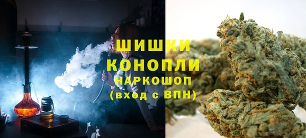 кокс Ельня