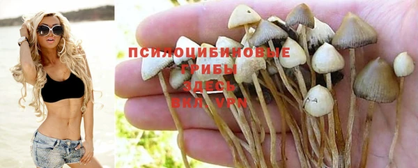 герыч Елизово