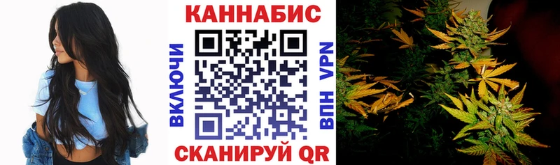 Бошки марихуана White Widow  Купить  Дудинка 
